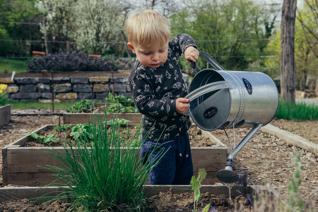 Jardinage d'intérieur : Petites graines deviendront plantes